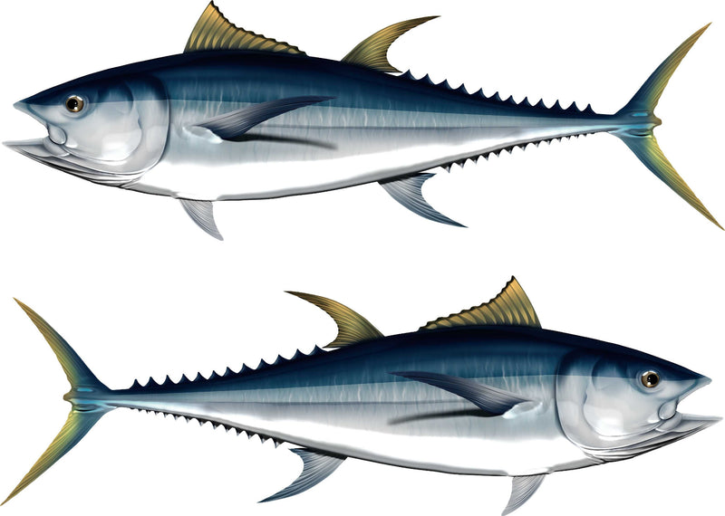 two albacore tuna decals kit